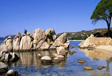 爱游戏-东契奇重返赛场，最后时刻胜出首场状态出色，IG观众沸腾！