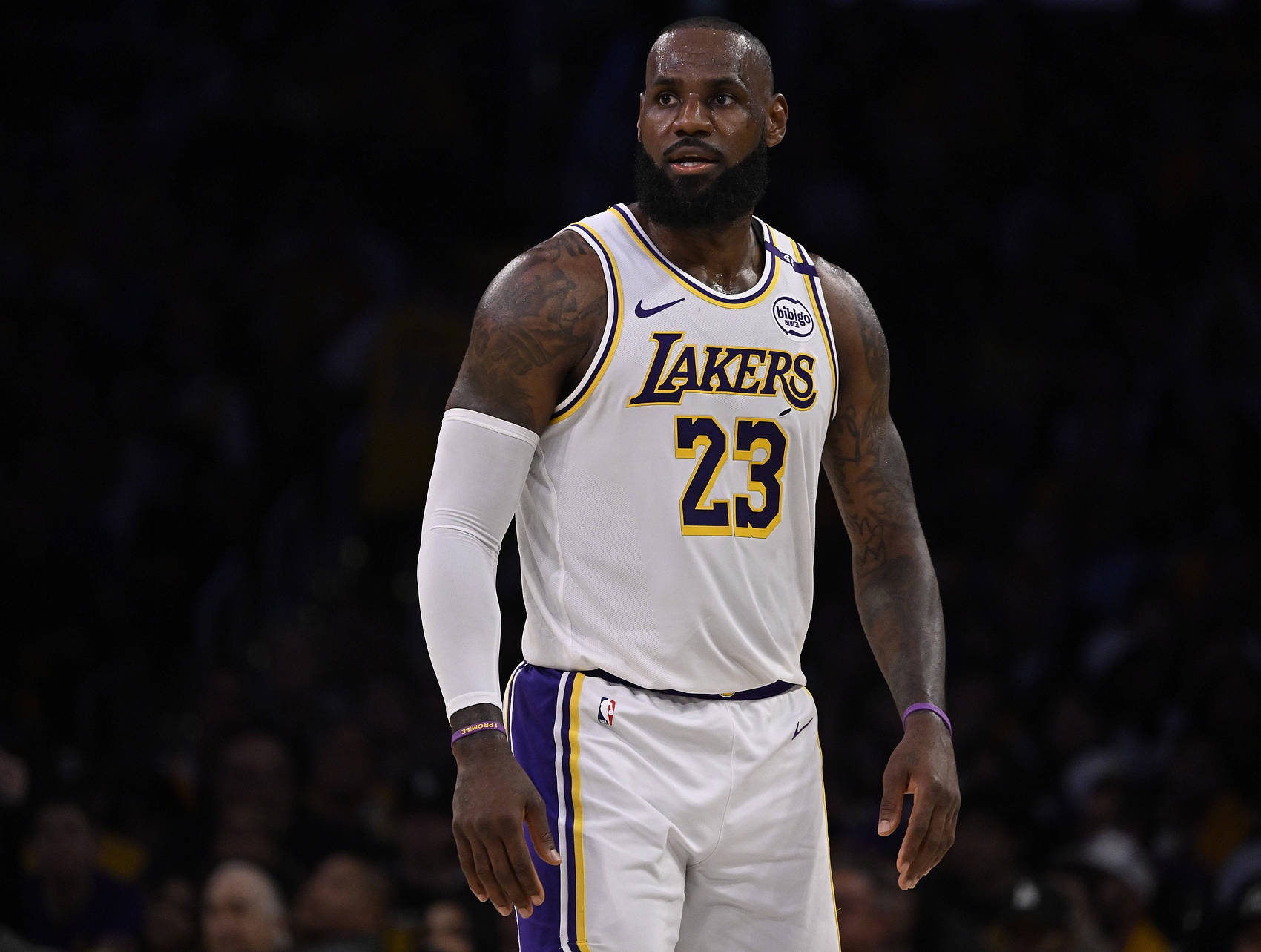 关于詹姆斯回归赛场，爆冷首场状态亮眼，中国队观众沸腾！的信息